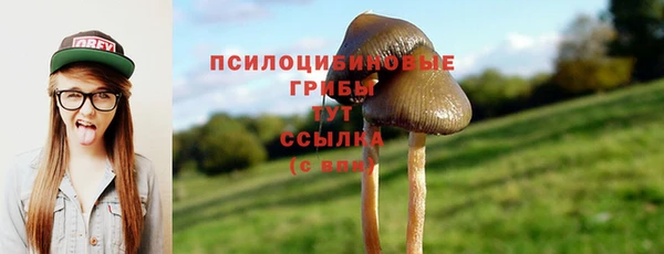 мескалин Алзамай