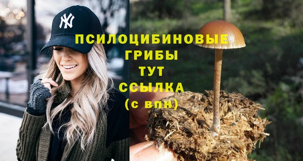 МДПВ Алексин