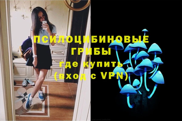 метадон Алексеевка