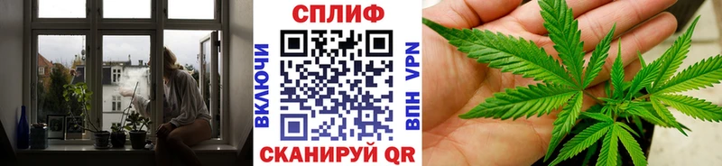 Каннабис Amnesia  Андреаполь 